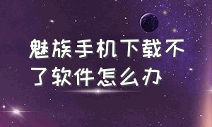 魅族手机下载不了软件怎么办