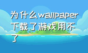 为什么wallpaper下载了游戏用不了