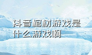 抖音棺材游戏是什么游戏啊