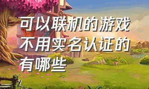 可以联机的游戏不用实名认证的有哪些