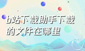 b站下载助手下载的文件在哪里