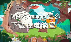 playground怎么下载在电脑里