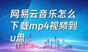 网易云音乐怎么下载mp4视频到u盘