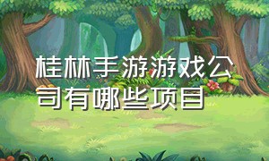 桂林手游游戏公司有哪些项目