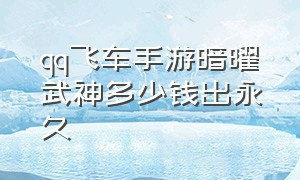 qq飞车手游暗曜武神多少钱出永久