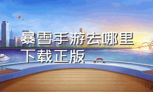 暴雪手游去哪里下载正版