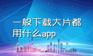 一般下载大片都用什么app