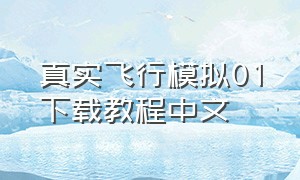 真实飞行模拟01下载教程中文