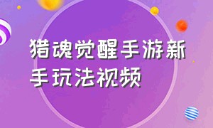 猎魂觉醒手游新手玩法视频