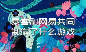 暴雪和网易共同制作了什么游戏