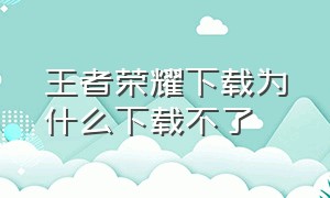 王者荣耀下载为什么下载不了