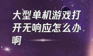 大型单机游戏打开无响应怎么办啊