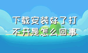 下载安装好了打不开是怎么回事