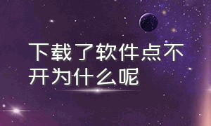 下载了软件点不开为什么呢