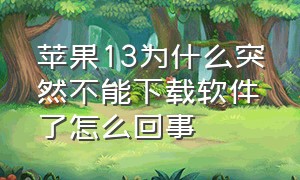 苹果13为什么突然不能下载软件了怎么回事