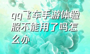 qq飞车手游体验服不能用了吗怎么办