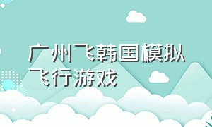 广州飞韩国模拟飞行游戏