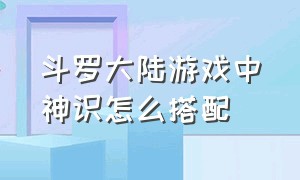 斗罗大陆游戏中神识怎么搭配