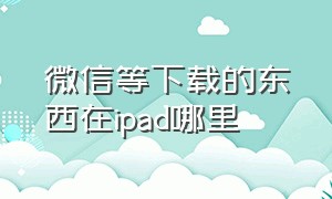 微信等下载的东西在ipad哪里