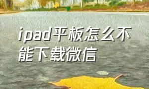 ipad平板怎么不能下载微信