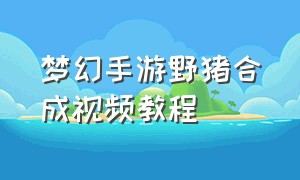 梦幻手游野猪合成视频教程