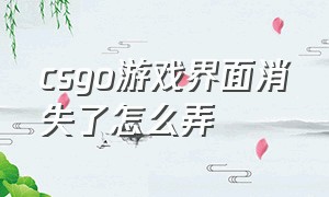 csgo游戏界面消失了怎么弄