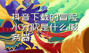 抖音下载的冒险小分队是什么服务器