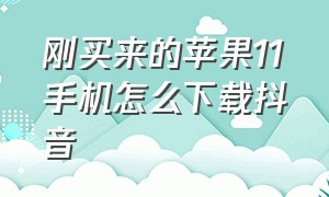 刚买来的苹果11手机怎么下载抖音