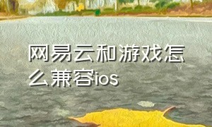 网易云和游戏怎么兼容ios