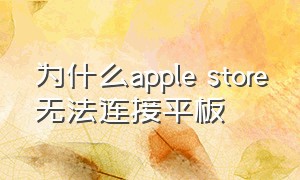 为什么apple store无法连接平板