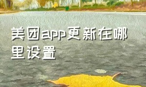 美团app更新在哪里设置