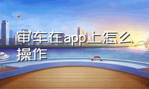 审车在app上怎么操作