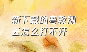 新下载的粤教翔云怎么打不开