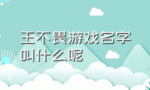 王不畏游戏名字叫什么呢