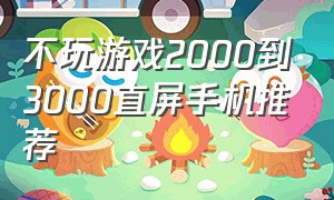 不玩游戏2000到3000直屏手机推荐