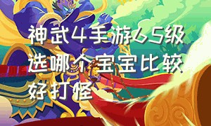 神武4手游65级选哪个宝宝比较好打怪