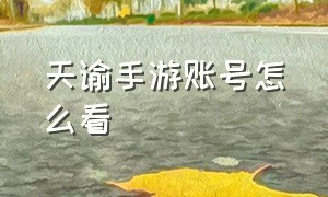 天谕手游账号怎么看