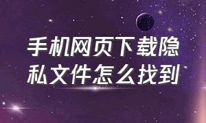 手机网页下载隐私文件怎么找到