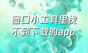 窗口小工具里找不到下载的app