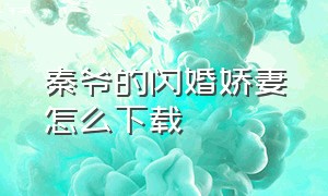 秦爷的闪婚娇妻怎么下载