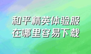 和平精英体验服在哪里容易下载