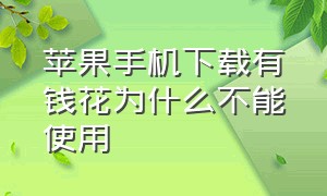 苹果手机下载有钱花为什么不能使用