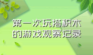 第一次玩搭积木的游戏观察记录