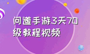 问道手游3天70级教程视频