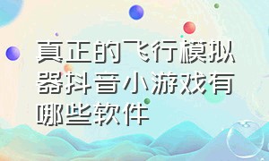 真正的飞行模拟器抖音小游戏有哪些软件