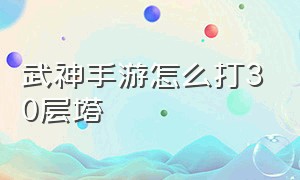 武神手游怎么打30层塔