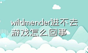 wildmender进不去游戏怎么回事