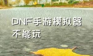 DNF手游模拟器不能玩