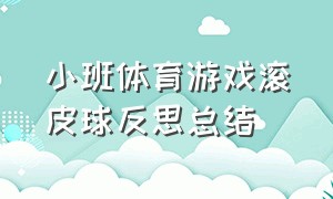 小班体育游戏滚皮球反思总结