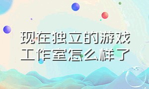 现在独立的游戏工作室怎么样了